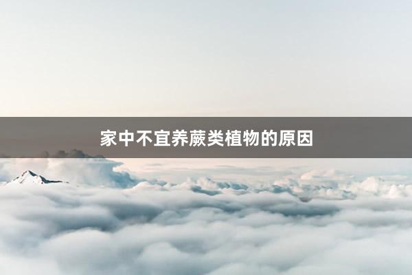 家中不宜养蕨类植物的原因